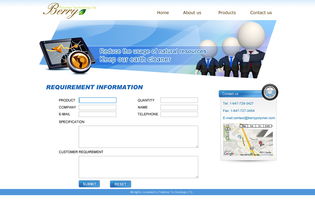 網(wǎng)頁(yè)與網(wǎng)站設(shè)計(jì) 構(gòu)建企業(yè)數(shù)字門戶的藝術(shù)與科學(xué)